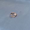 Picture of Sleek Nail ring Unisex Rose gold